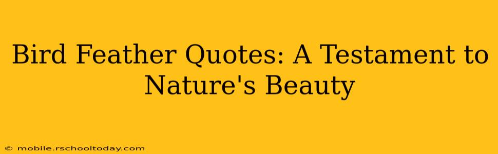 Bird Feather Quotes: A Testament to Nature's Beauty