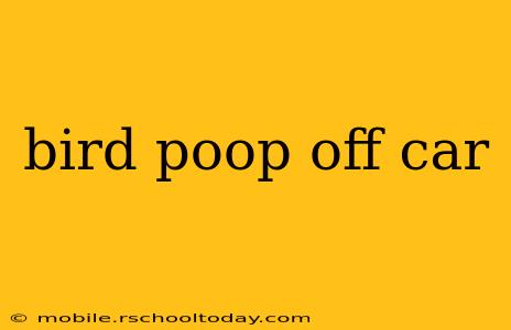 bird poop off car