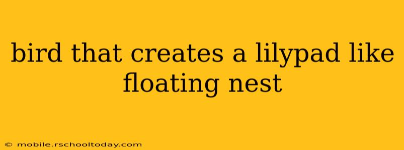 bird that creates a lilypad like floating nest