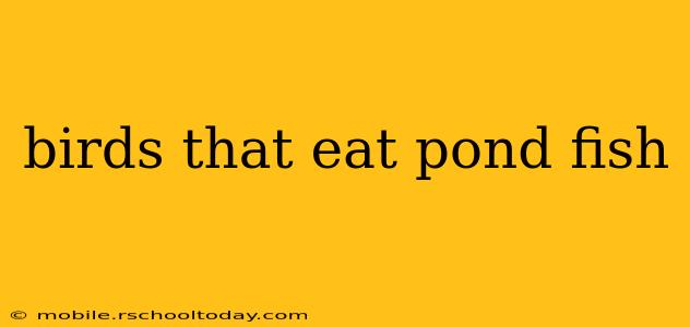 birds that eat pond fish
