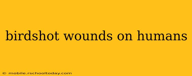 birdshot wounds on humans