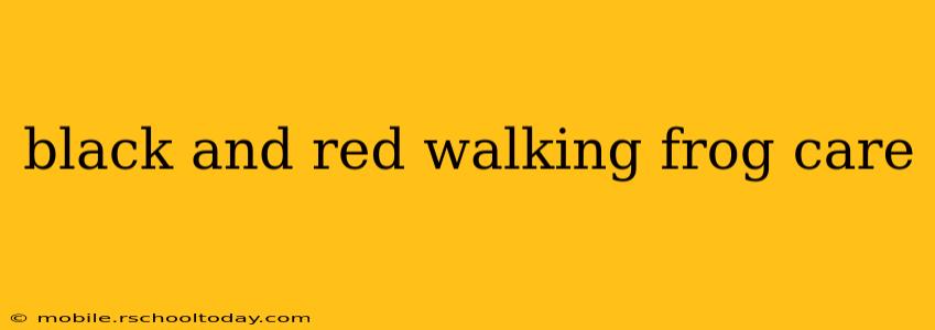 black and red walking frog care