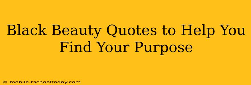Black Beauty Quotes to Help You Find Your Purpose