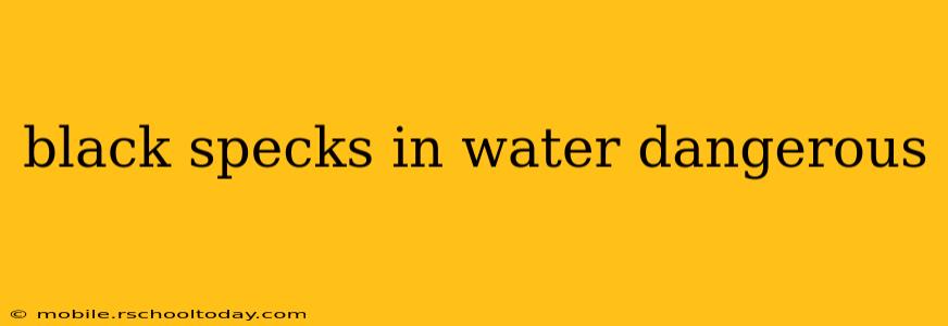 black specks in water dangerous