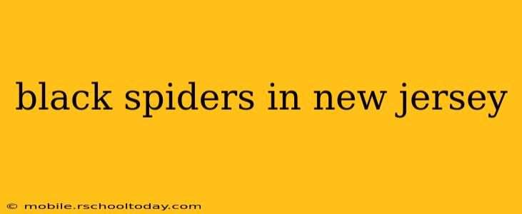 black spiders in new jersey