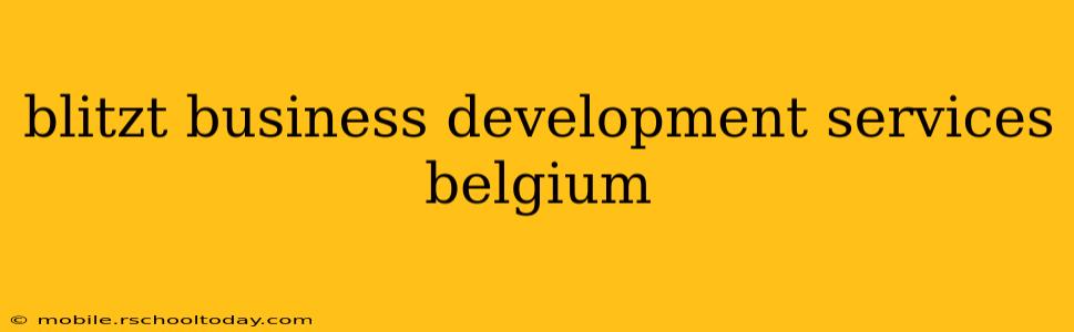 blitzt business development services belgium
