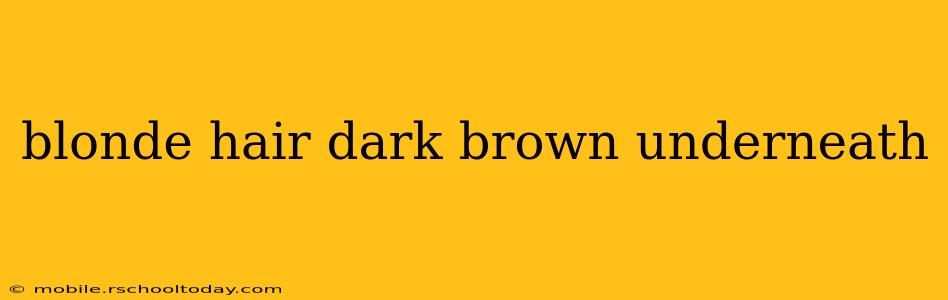 blonde hair dark brown underneath