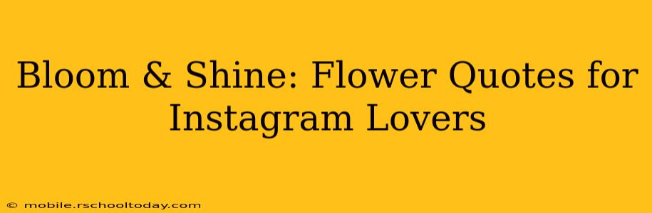 Bloom & Shine: Flower Quotes for Instagram Lovers