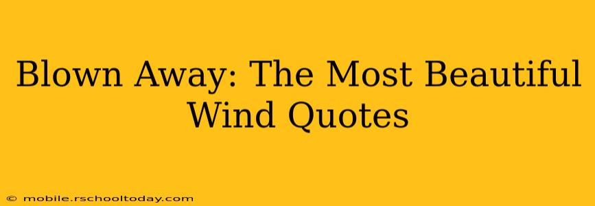 Blown Away: The Most Beautiful Wind Quotes