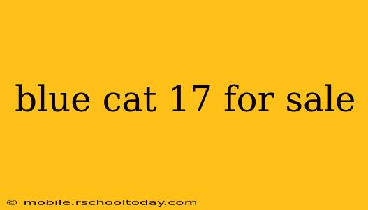 blue cat 17 for sale