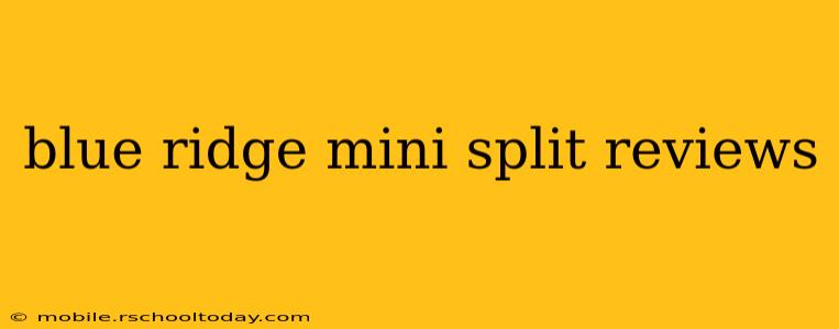 blue ridge mini split reviews