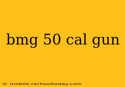 bmg 50 cal gun