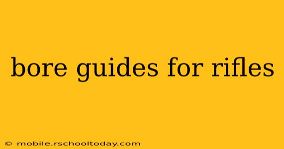 bore guides for rifles