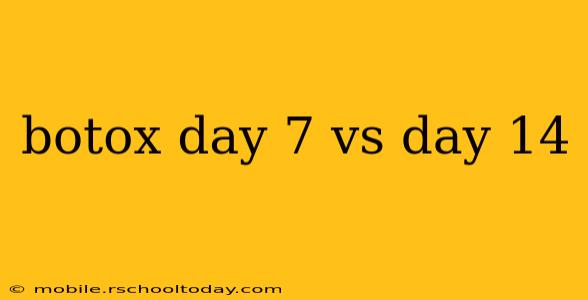 botox day 7 vs day 14