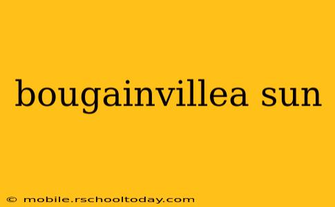 bougainvillea sun
