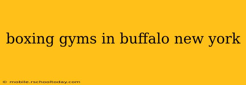boxing gyms in buffalo new york
