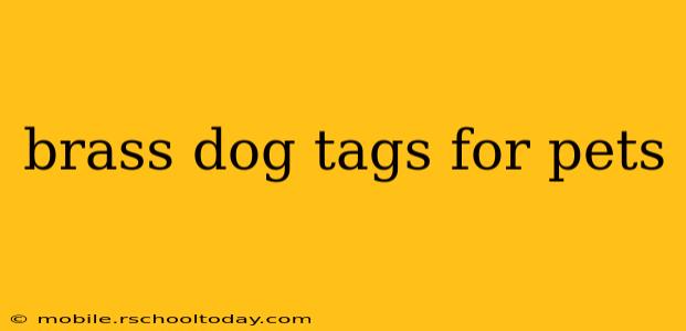 brass dog tags for pets