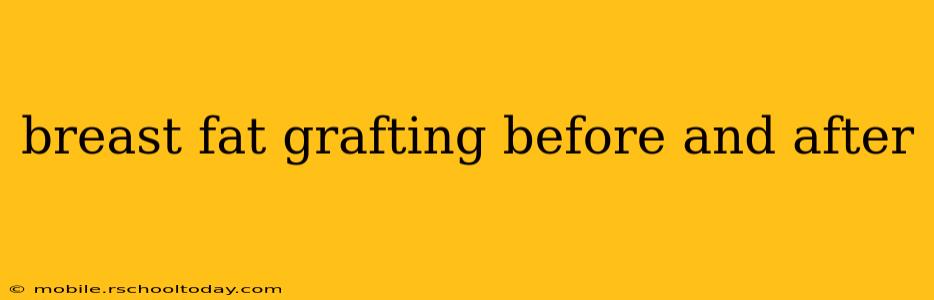 breast fat grafting before and after