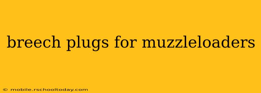 breech plugs for muzzleloaders
