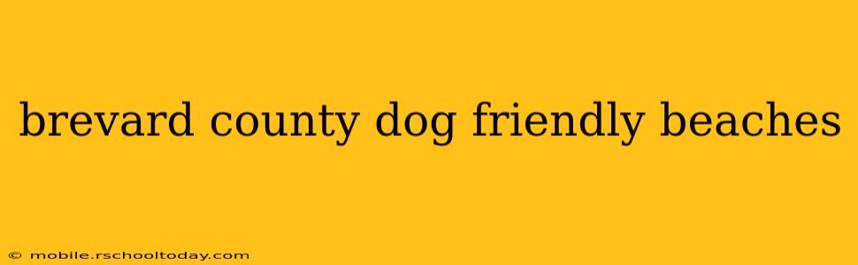 brevard county dog friendly beaches