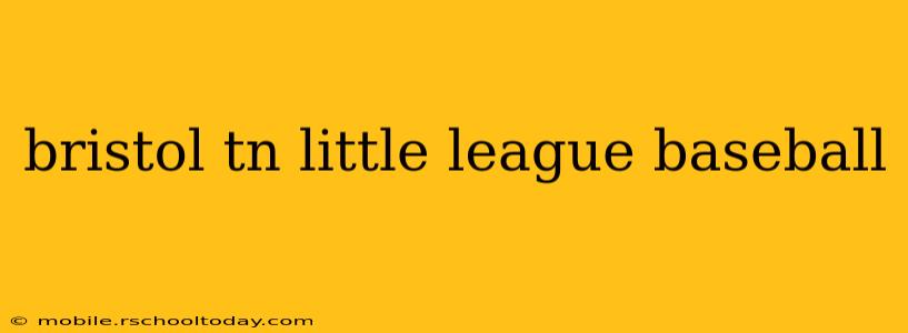 bristol tn little league baseball
