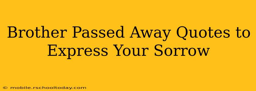 Brother Passed Away Quotes to Express Your Sorrow
