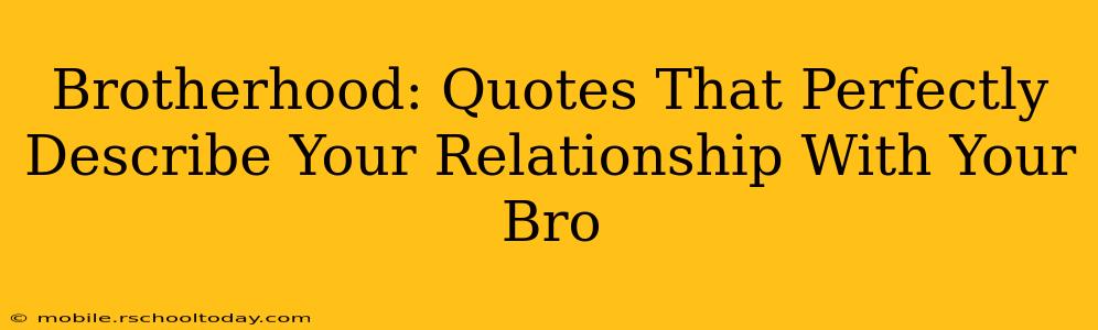 Brotherhood: Quotes That Perfectly Describe Your Relationship With Your Bro