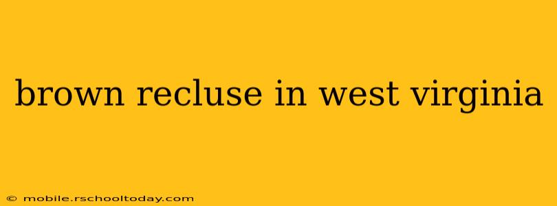 brown recluse in west virginia