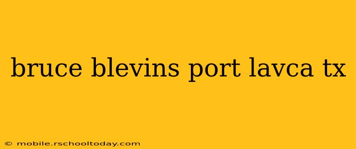 bruce blevins port lavca tx