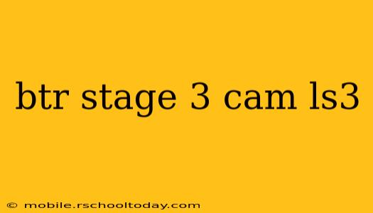 btr stage 3 cam ls3