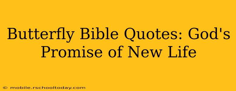 Butterfly Bible Quotes: God's Promise of New Life