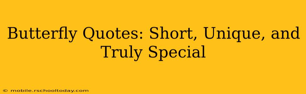 Butterfly Quotes: Short, Unique, and Truly Special