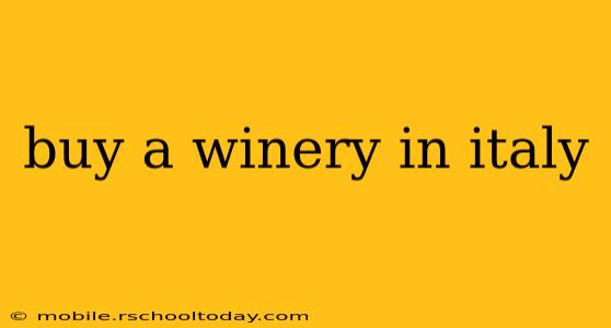 buy a winery in italy