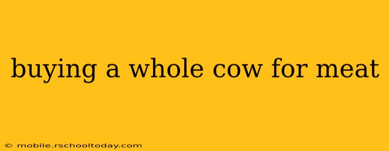 buying a whole cow for meat