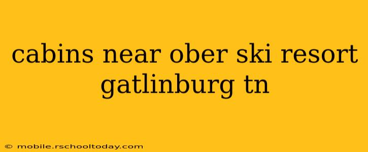 cabins near ober ski resort gatlinburg tn