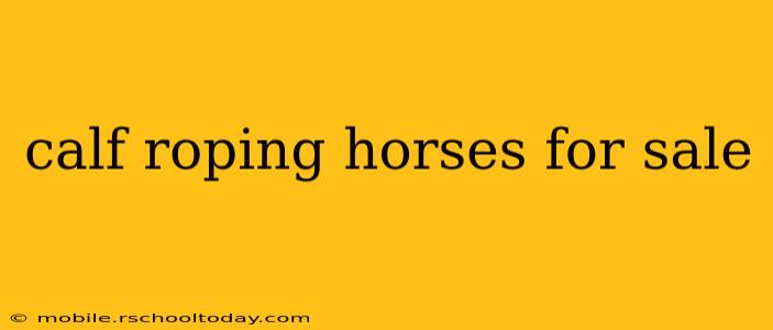 calf roping horses for sale