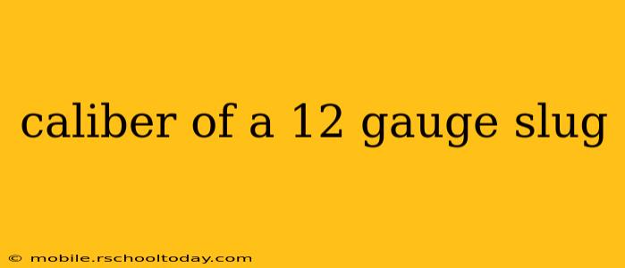 caliber of a 12 gauge slug