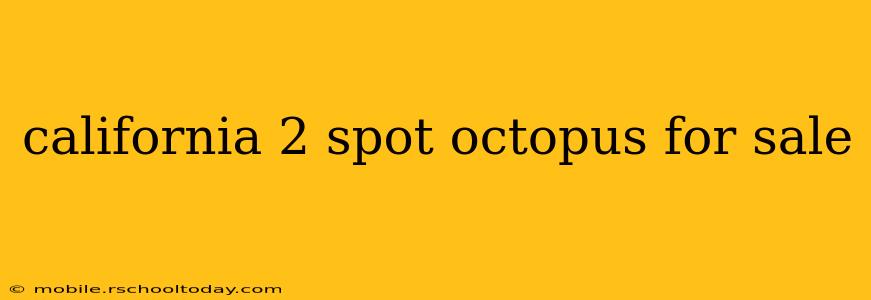 california 2 spot octopus for sale
