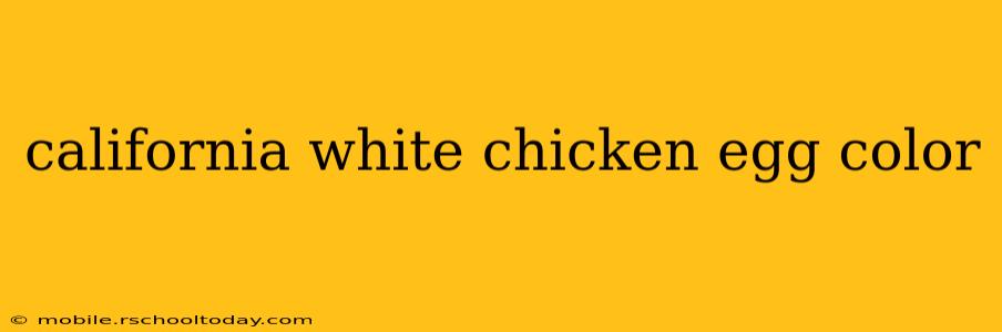 california white chicken egg color