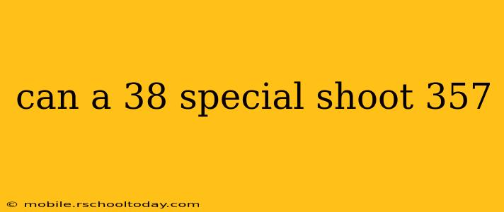 can a 38 special shoot 357