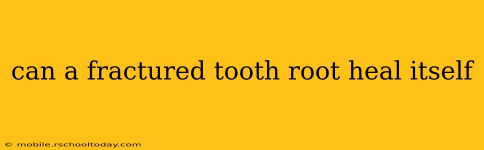can a fractured tooth root heal itself