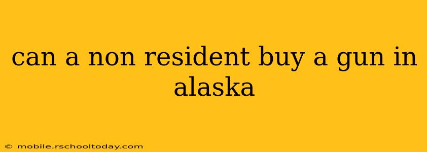 can a non resident buy a gun in alaska