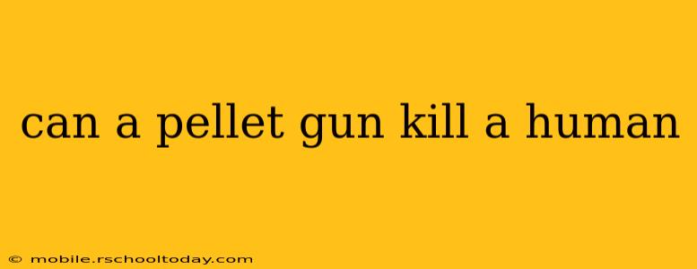 can a pellet gun kill a human