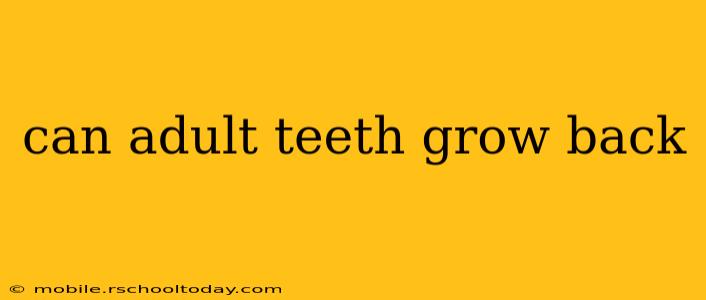 can adult teeth grow back