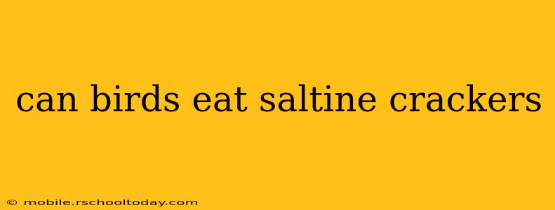 can birds eat saltine crackers