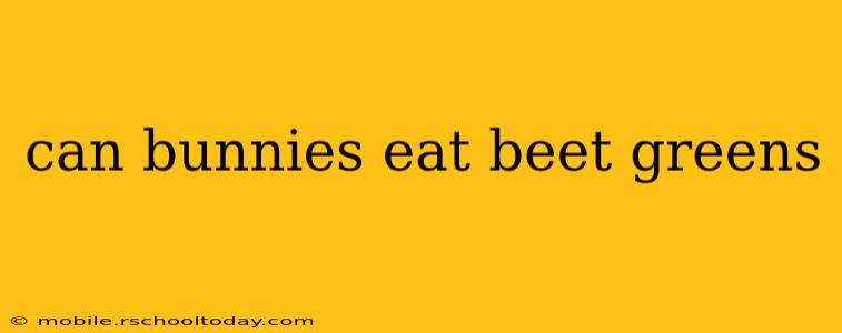 can bunnies eat beet greens