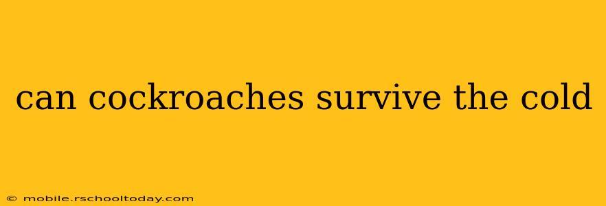can cockroaches survive the cold