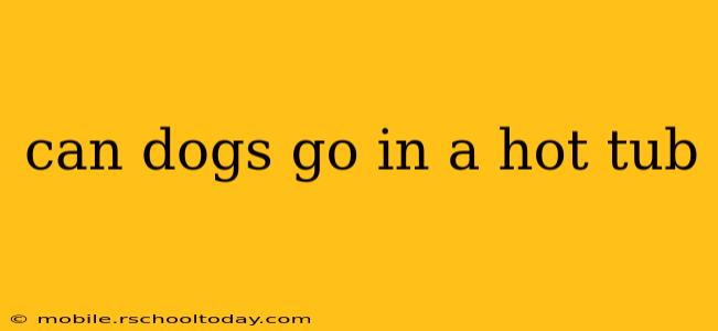 can dogs go in a hot tub