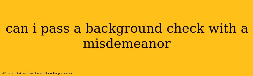 can i pass a background check with a misdemeanor