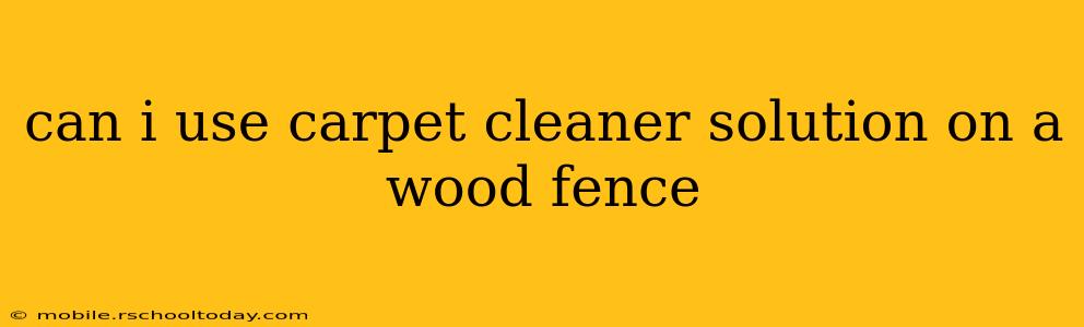 can i use carpet cleaner solution on a wood fence